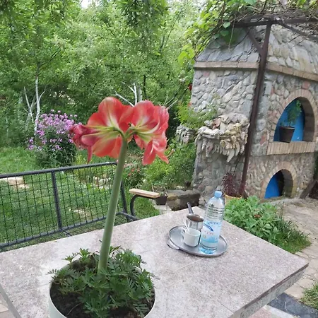 Forest Grove Hideaway Villa